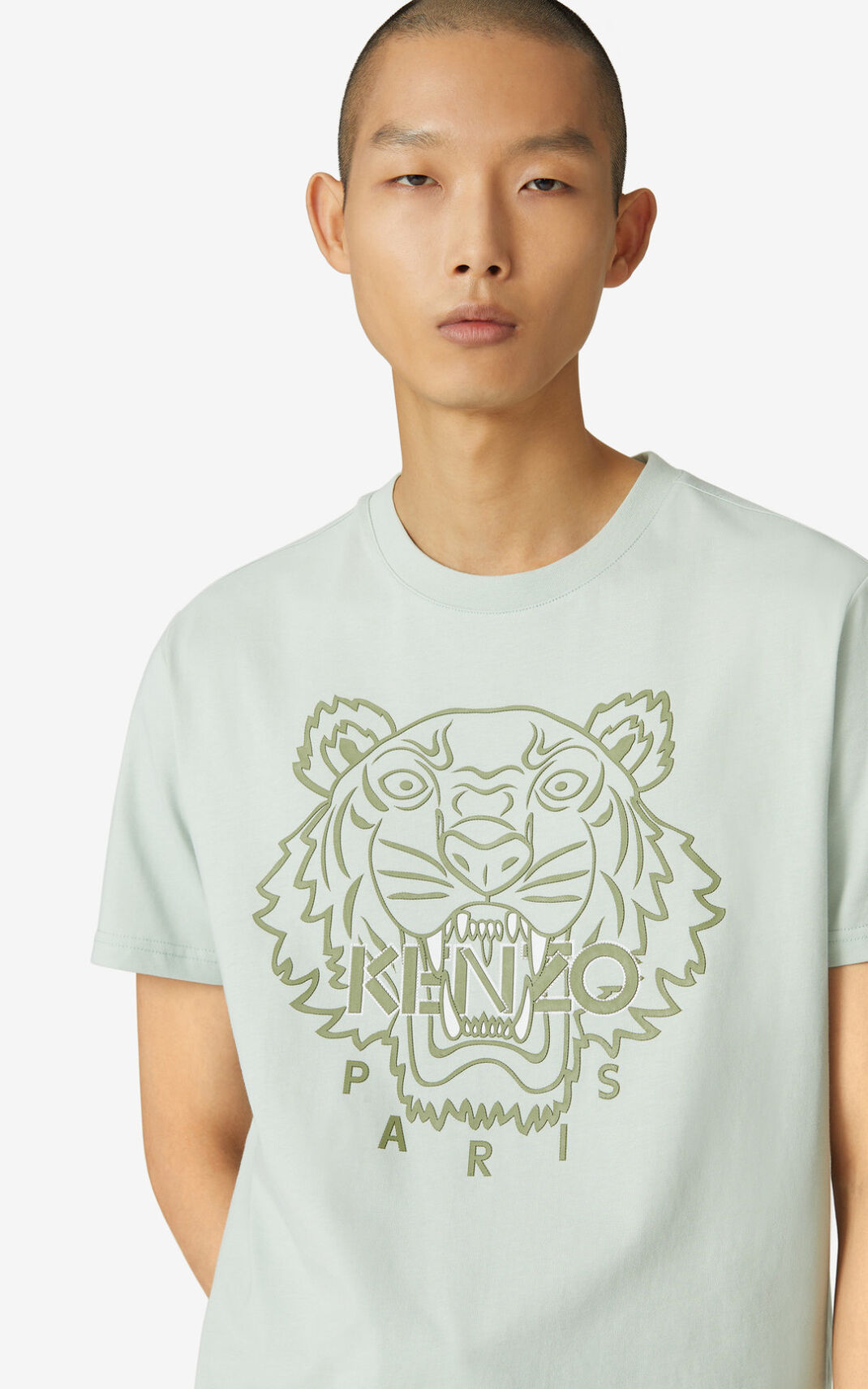 Camiseta Kenzo Tiger Masculino - Verde Oliva Verdes | 175UHBLZW